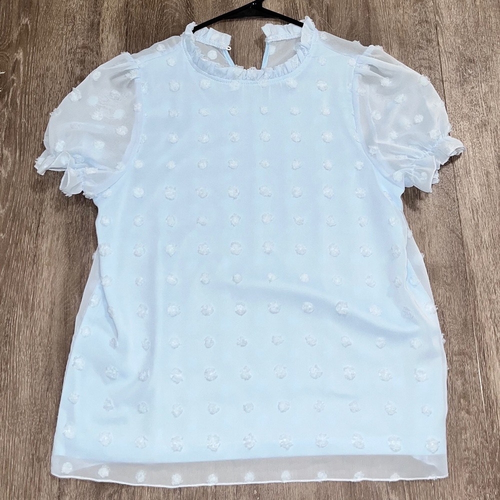 SHEIN Ruffle Neck Swiss Dot Blouse